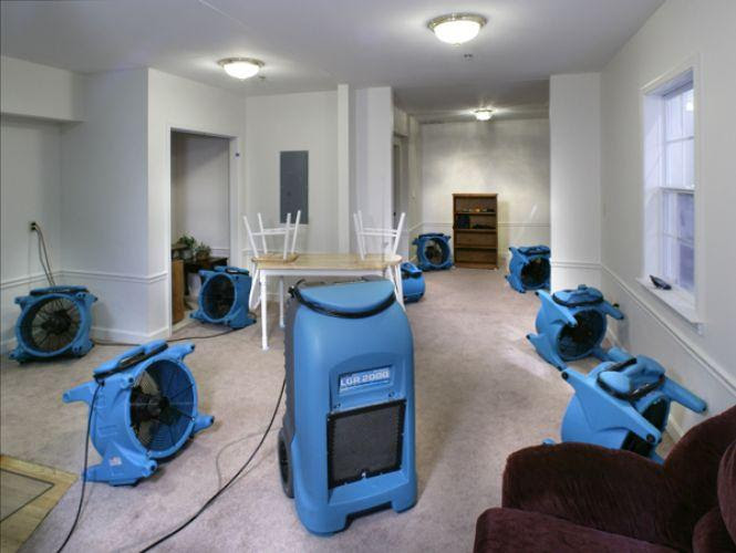 drying basement from Tanin Carpet, Tile Cleaning, Water Damage ...