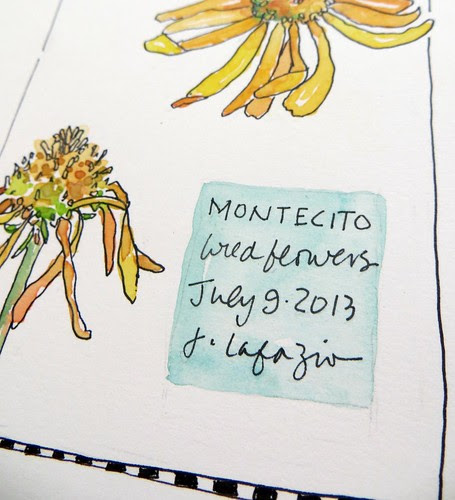 from my sketchbook