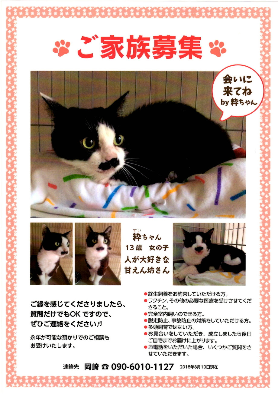 やまなか動物病院では里親情報を行っています。