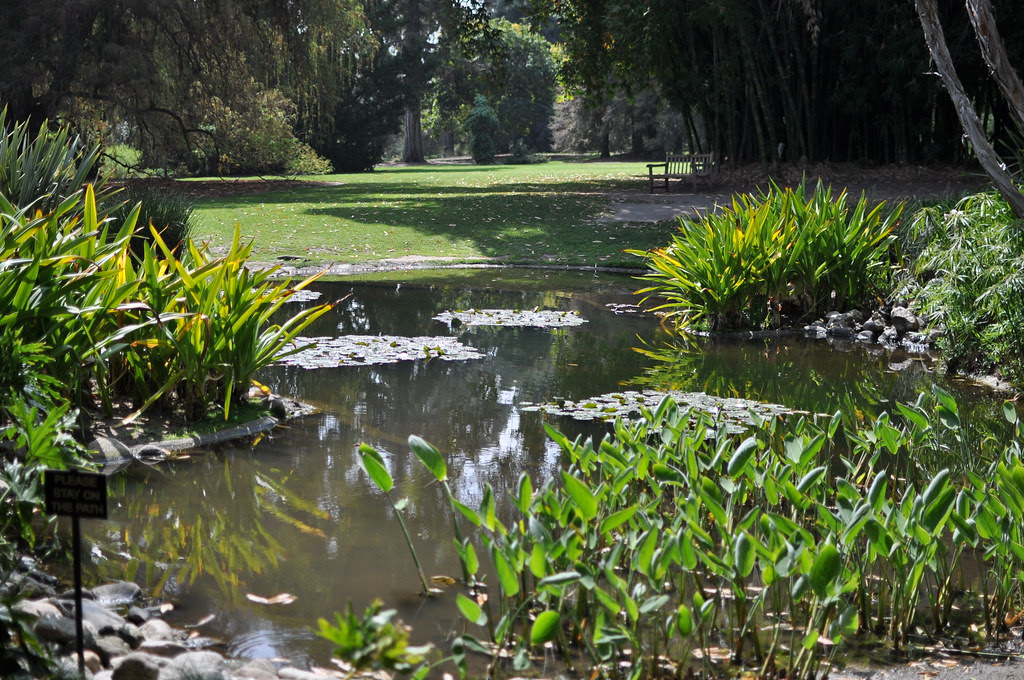 huntington library