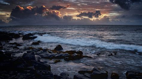 Most people do not know the difference between acrylic paint and enamel, and sometimes end up using the wrong kind of paint for the job. How to Paint a Night Seascape with Oils | Curious.com