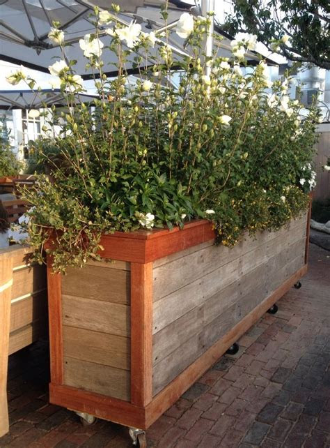 These work great as a privacy screen and are completely portable. rolling+planters | Moveable large privacy planter, perfect