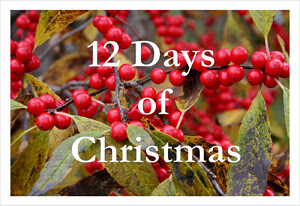 12_days_of_christmas2