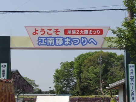 曼陀羅寺藤まつりと菜めし田楽 愛知県江南市 たべりゃあ あそびゃあ ひろくま先生のブログ