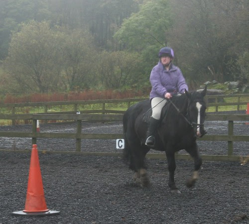 'Rebel' - Barend Riding Stables