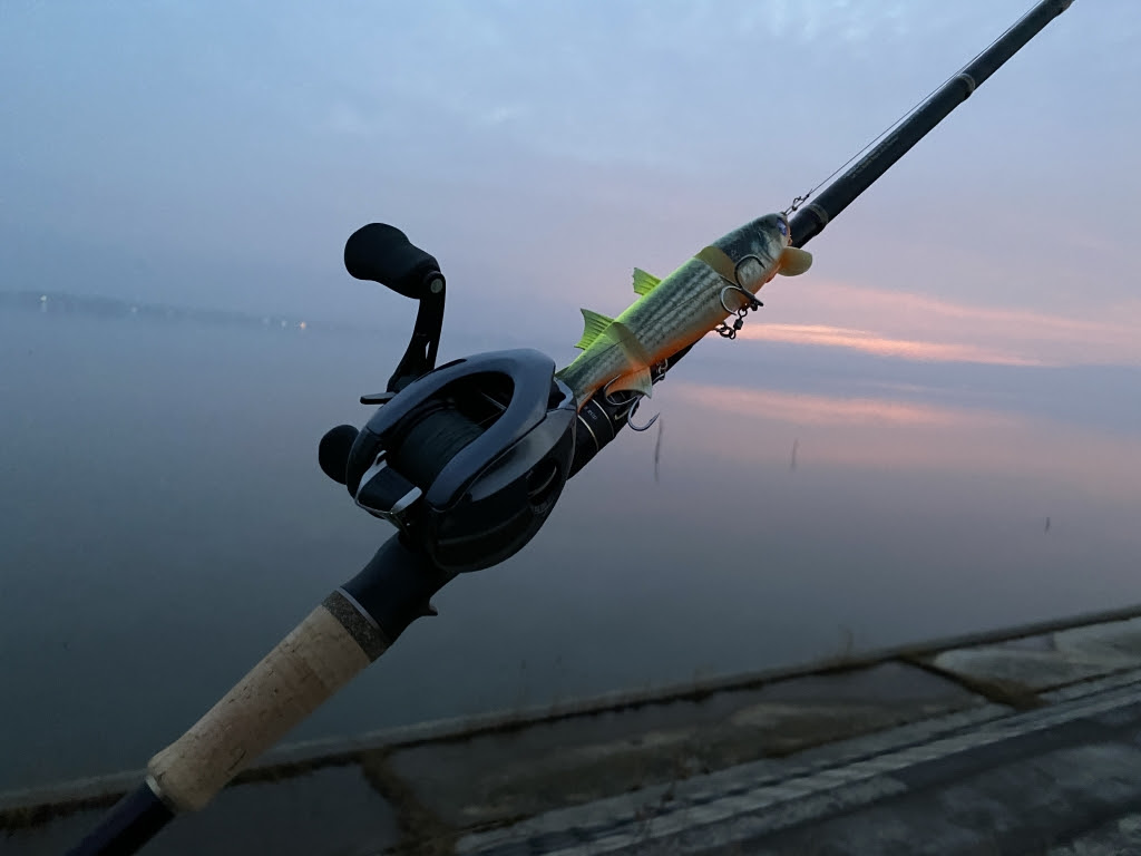 ２０２０ ２月１６日 霞ヶ浦本湖でバス釣り 残りの人生 釣りを楽しむ