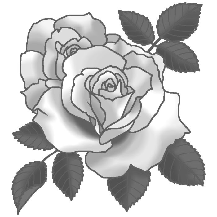 マーガレット メリル モノクロ バラの花1 ばらのイラスト 花の