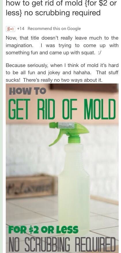 How to Get Rid Of Mold For $2 or Less👉 | Trusper