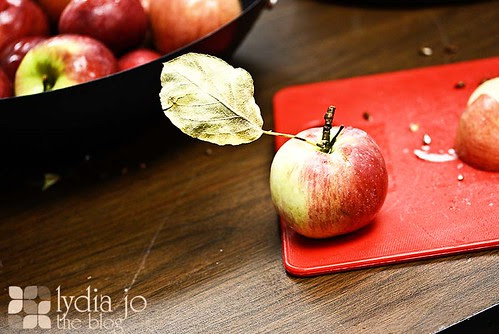 We Like This Apple
