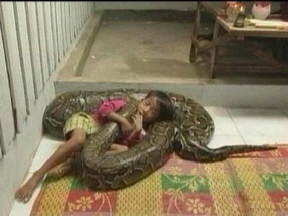 Best friend - a huge python (12 pics)