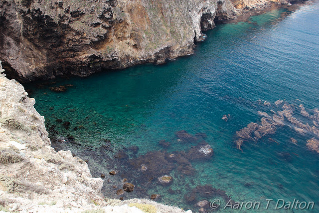 Crystal Water