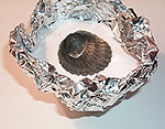 Create a Fossil