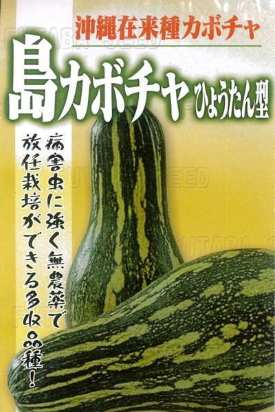野菜 熱帯果樹の種 かぼちゃ 沖縄 島カボチャ ひょうたん型 約18粒入