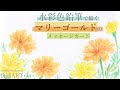 コレクション マリーゴールド イラスト リアル 883073