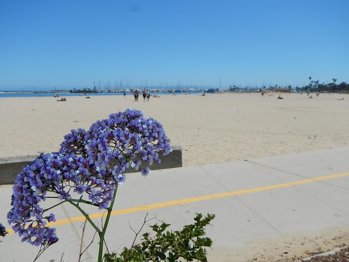 Everyday for 7 Weeks - Day 40 - San Luis Obispo to Los Angeles