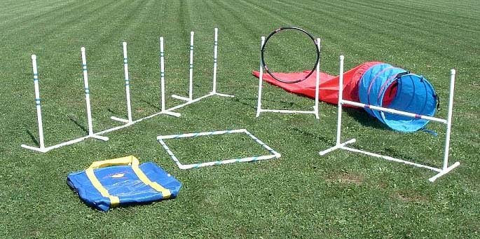 Dog Agility Equipment and Dog Training Products From NW Agility - We ...