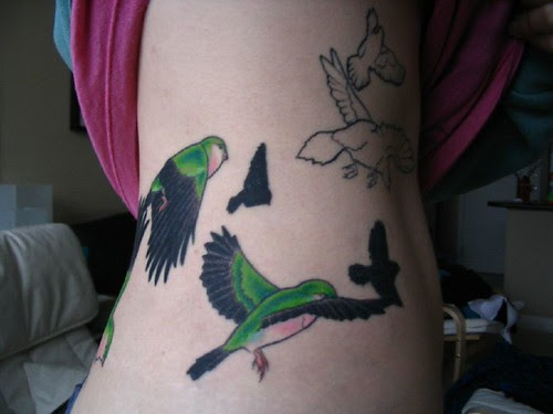 Bird tattoo colour side. Bird tattoo wrap from lower back to ribs.