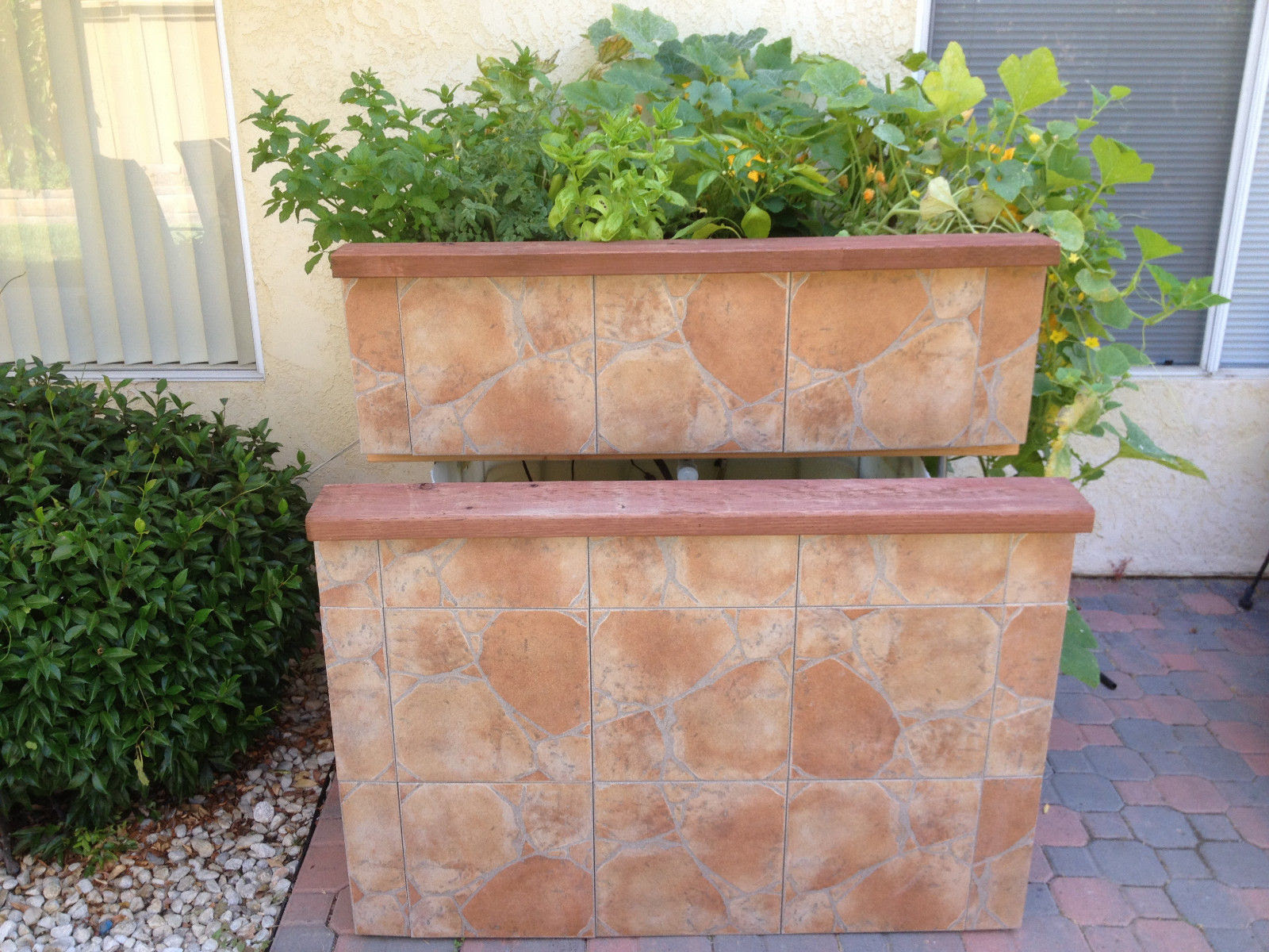 How to Build an Aquaponics System eBay