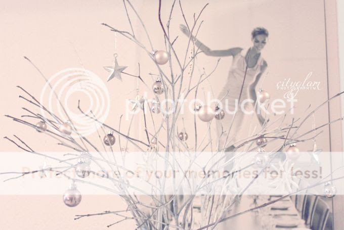 http://i402.photobucket.com/albums/pp103/Sushiina/diy_strauch4.jpg