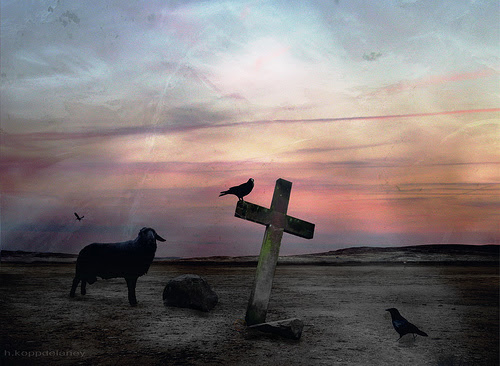The Grave of the Black Sheep