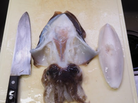 モンゴウイカのさばき方と刺身 動画 魚料理と簡単レシピ
