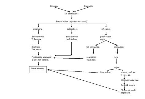 pathway mioma uteri teguh subianto