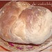 Sotto la neve...PANE