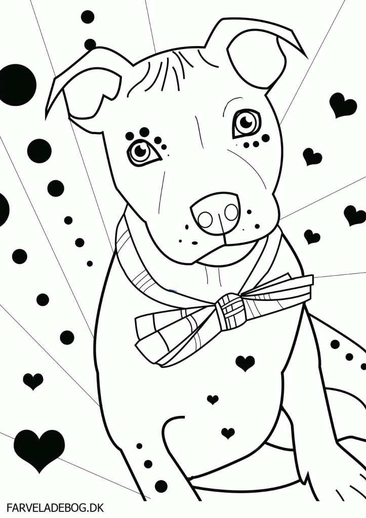 Pitbull Puppies Coloring Pages - Coloring Home