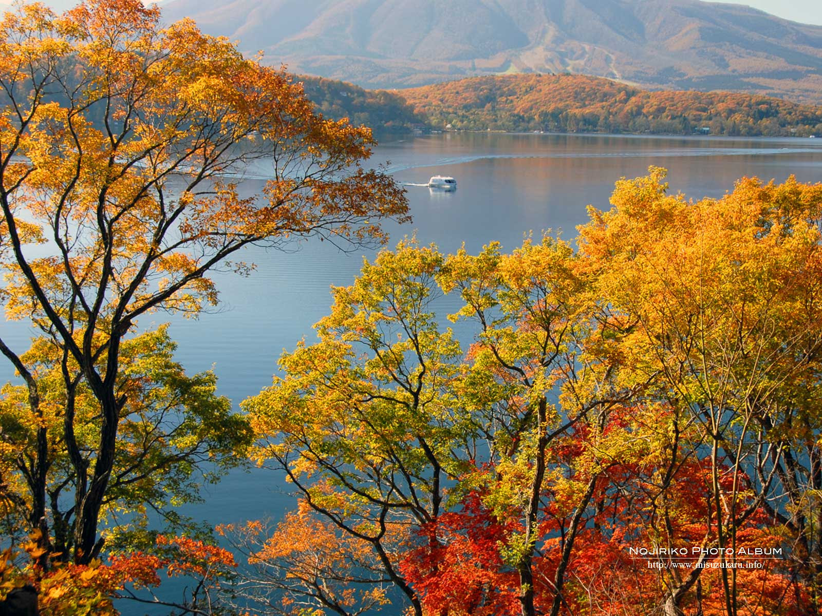 秋の壁紙 全山紅葉 野尻湖 1024 768 1280 1024 1600 10