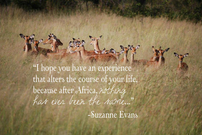 African Proverb Quotes Success. QuotesGram