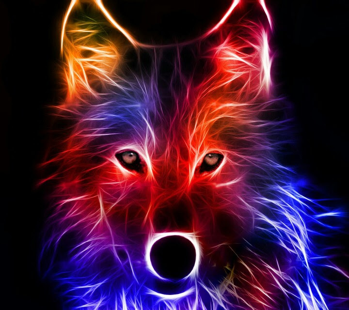 cool wolf profile pictures ...