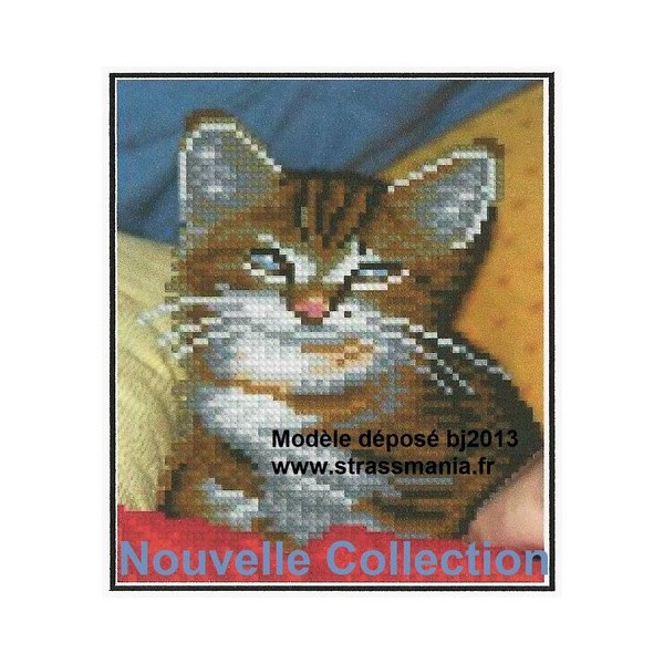 Strassmania Nouveautes 19 Tableau Chat En Strass Pour Debutant Strass En Tableau Un Cadeau Original Pour Debutant