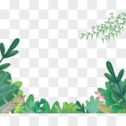 植物背景图片素材 免费植物背景png设计图片大全 图精灵