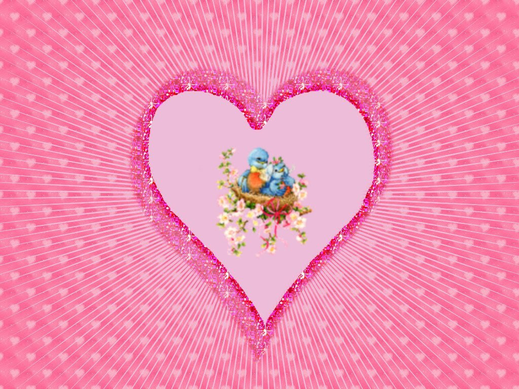 Love Birds Hearts Wallpapers Colorful Parrots Backgrounds