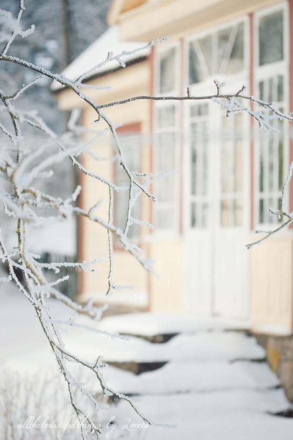 Winter Time