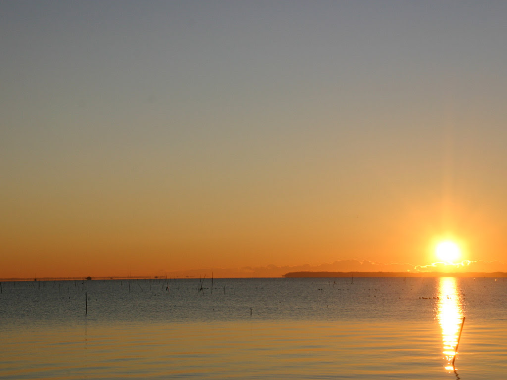 初日の出3 写真素材無料壁紙