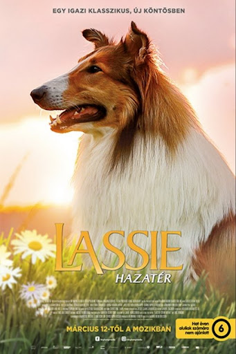 Kép
