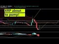 How Much Is Xrp Worth In 2021 : How Much is Laura Lee Net Worth in 2021? - Celebrities Income / An ambitious outlook for 2021 has been made by tradingbeasts as they predict the price to hit $1.72 with a jump of 25% by the end of year.