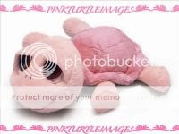 Pink Turtle Images 