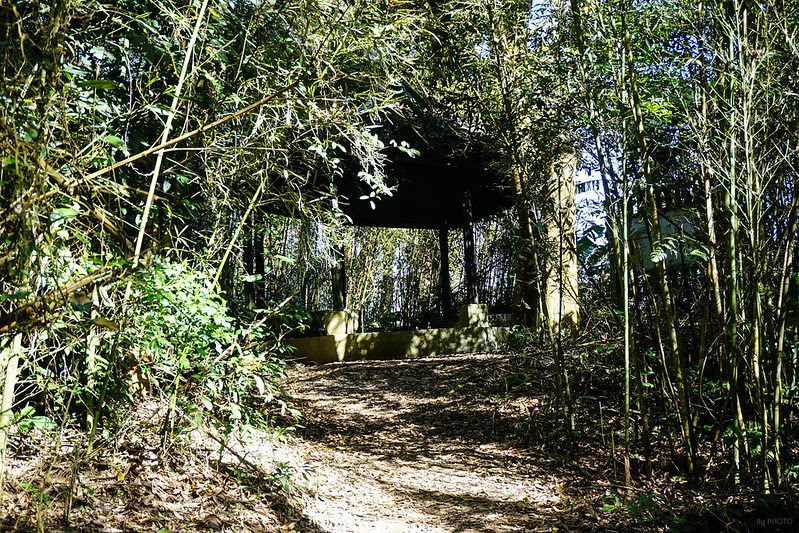 DSC04504