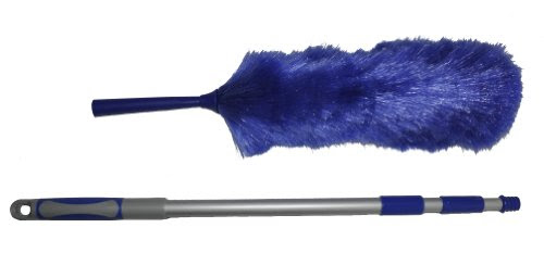Extension pole duster