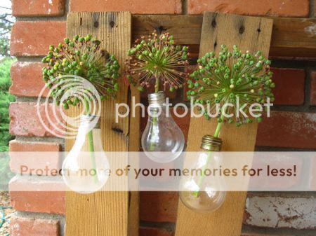 Light Bulb Vertical Gardens