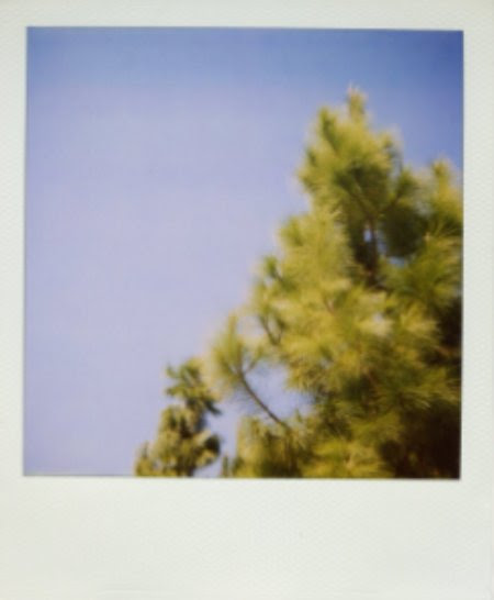 cabinscenes