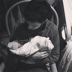 2013-02-13_1360733343
