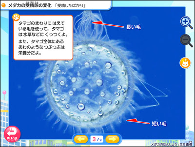 最新版ランドセル小学5年 16年版 予約受付 学習ソフトのがくげい