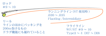 シイラのフライフィッシング タックル