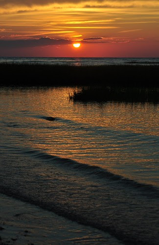 DSC_0151aa by whitegerry52