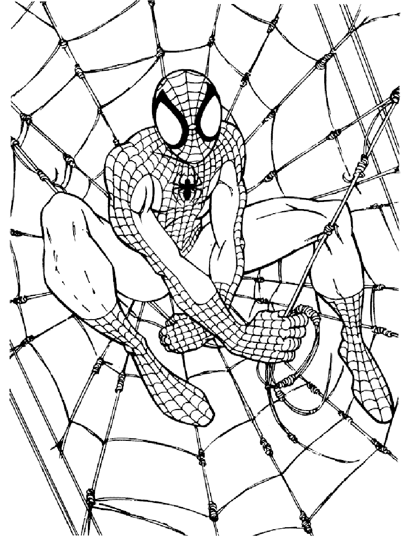 spiderman 4 12