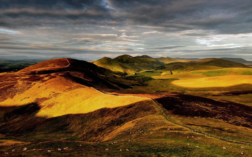 自然 丘陵 英格兰 英国 天空 羊壁纸 高清图片 壁纸 自然风景 桌面城市