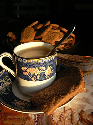 speculoos 1.jpg